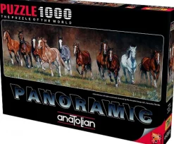 Anatolian - Panorama Legpuzzel - Free Time - 1000- stukjes