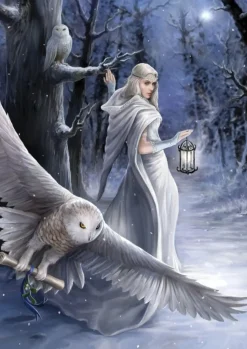 Art Puzzle - Legpuzzel - Midnight Messenger - 1000 stukjes