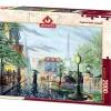 Art Puzzle - Legpuzzel - Summer Rain, Parijs - 2000 stukjes