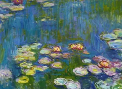 Bluebird - Legpuzzel - Claude Monet, Waterlelies - 3000 stukjes