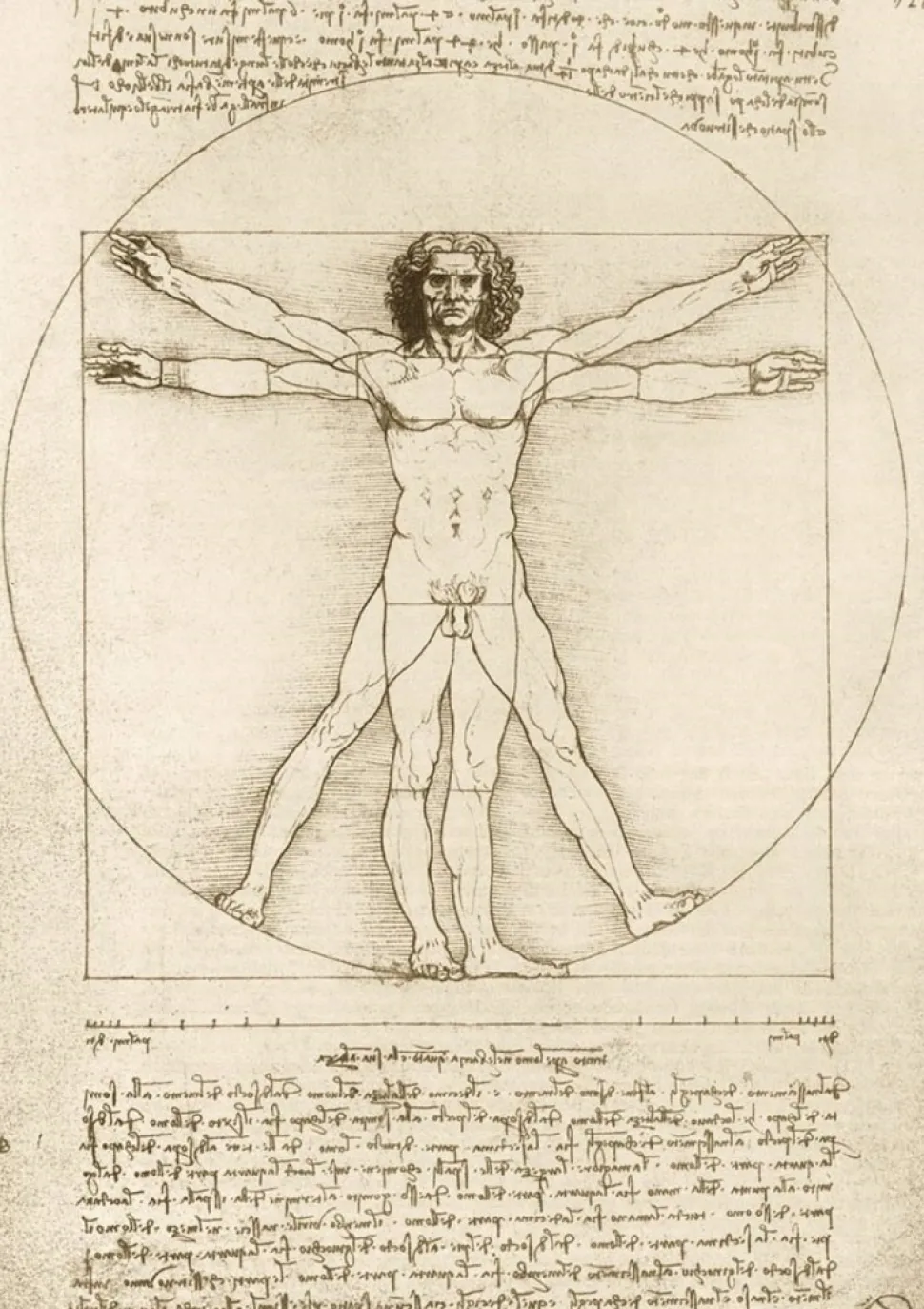 Bluebird - Legpuzzel - Leonardo Da Vinci - The Vitruvian Man, 1490 - 1000 stukjes