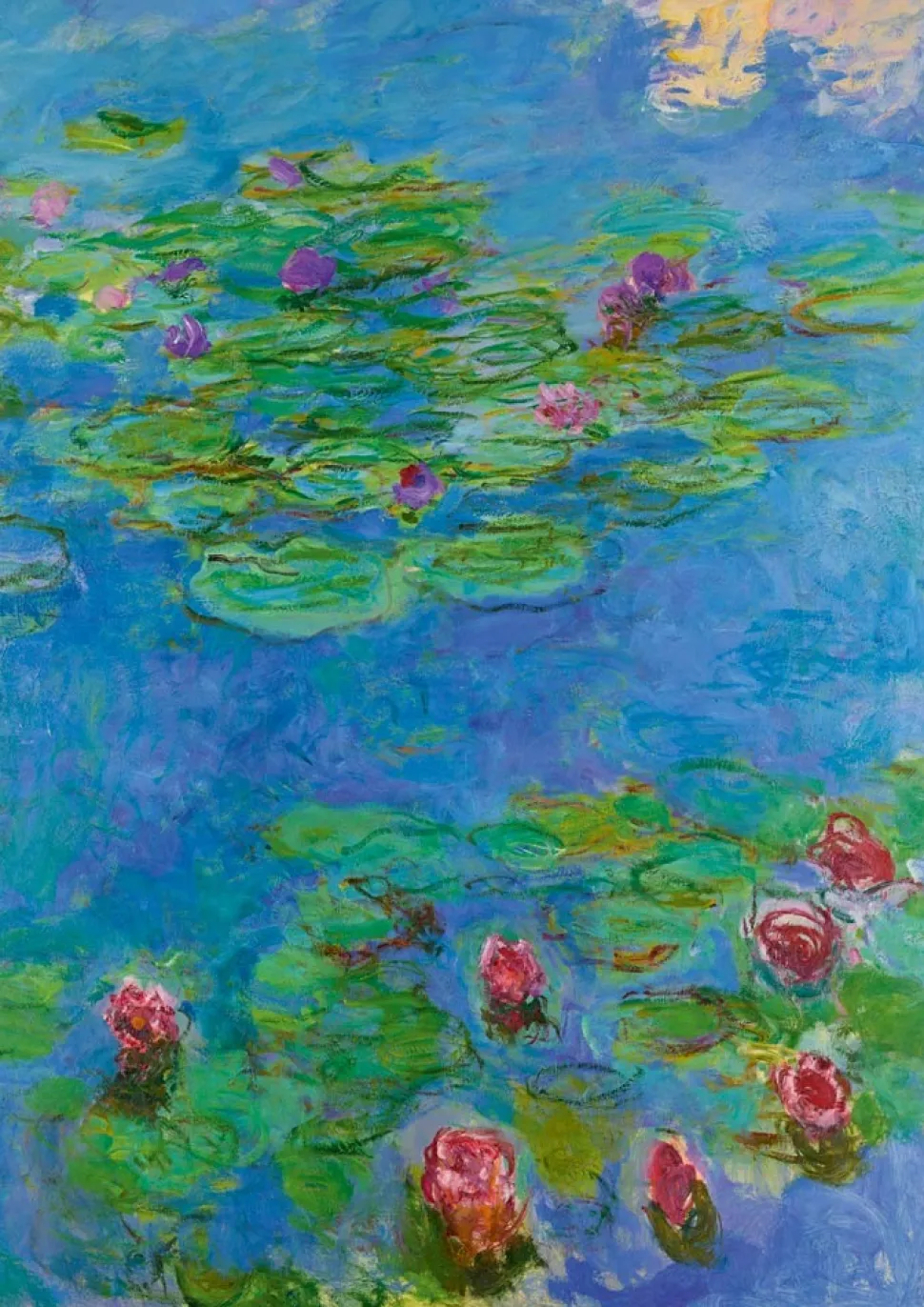 Bluebird - Legpuzzel - Waterlelies - 1000 stukjes