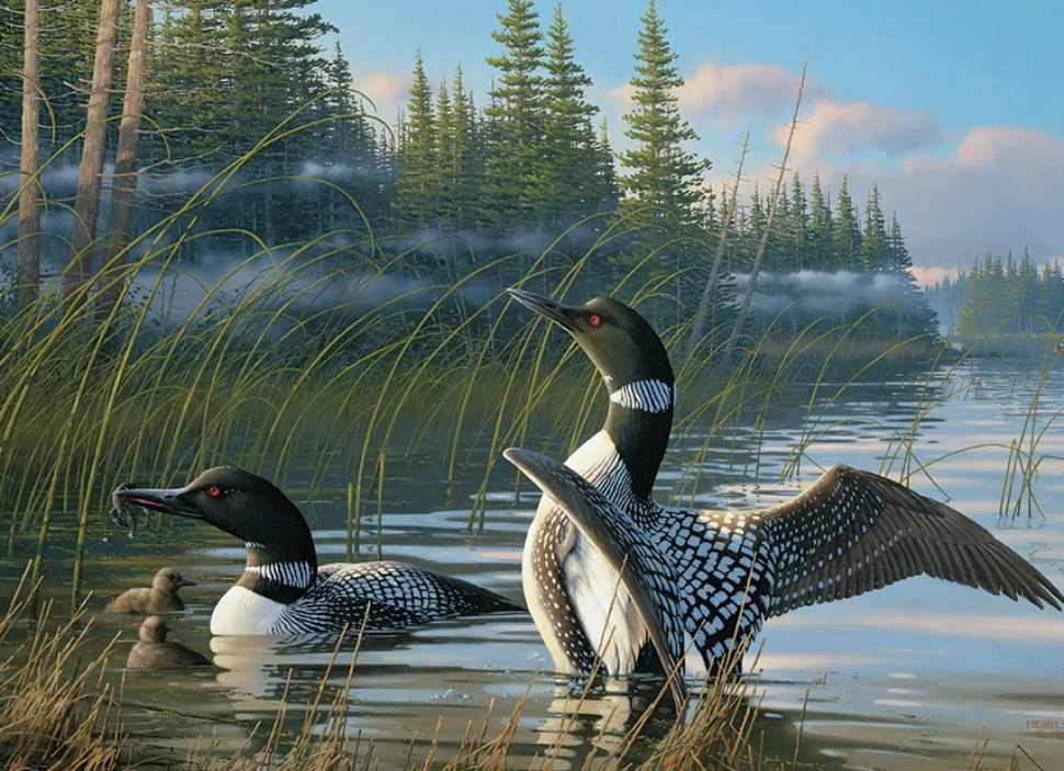 Cobble Hill - Legpuzzel - Common Loons - 1000 stukjes