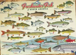 Cobble Hill - Legpuzzel - Freshwater Fish of North America - 1000 stukjes