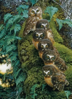 Cobble Hill - Legpuzzel - Family Tree - 1000 stukjes