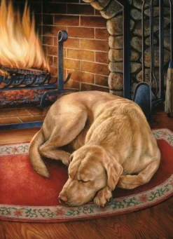 Cobble Hill - Legpuzzel - Home is Where the Dog is - 1000 stukjes