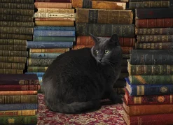 Cobble Hill - Legpuzzel - Library Cat - 1000 stukjes