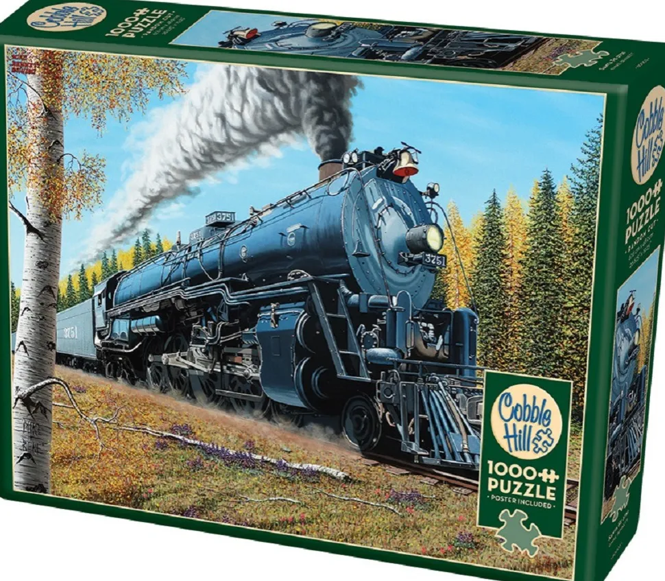 Cobble Hill - Legpuzzel - Santa Fe 3751 - 1000 stukjes