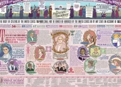 Cobble Hill - Legpuzzel - The Nineteenth Amendment - 1000 stukjes