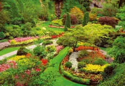 Educa - Legpuzzel - Butchart Tuinen - 1000 stukjes