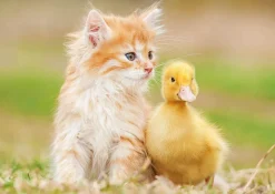 Educa - Legpuzzel - Echte Vrienden - 500 stukjes