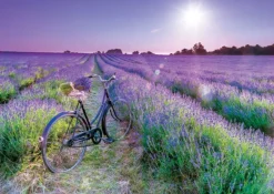 Educa - Legpuzzel - Fiets in Lavendelveld - 1000 stukjes