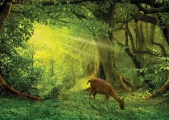 Educa - Legpuzzel - Hertje - 500 stukjes