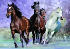 Educa - Legpuzzel - In Galop - 1000 stukjes