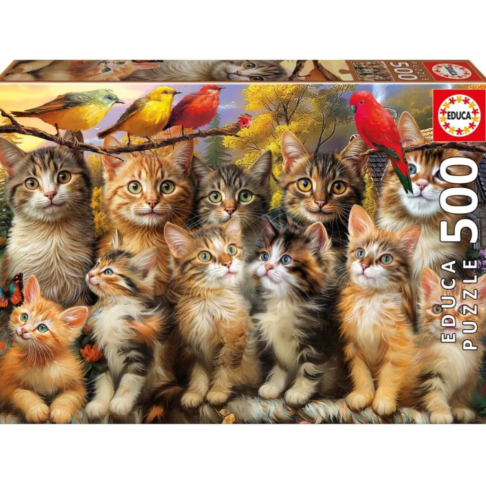 Educa - Legpuzzel - Katjes en Vogels - 500 stukjes