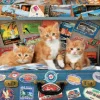 Educa - Legpuzzel - Kittens op Reis - 200 stukjes