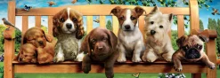 Educa - Legpuzzel - Puppies op de Bank - 1000 stukjes