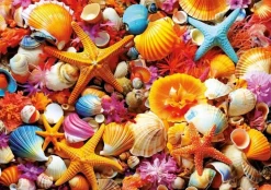 Educa - Legpuzzel - Schelpencollage - 1000 stukjes