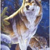 Educa - Legpuzzel - Wolf Op Wacht - 500 stukjes