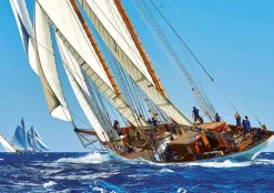 Educa - Legpuzzel - Zeejacht - 1000 stukjes