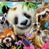 Educa - Legpuzzel - Zwarte Ogen Vriendjes - 300 stukjes