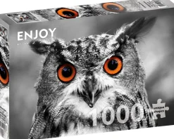 Enjoy - Legpuzzel - Nieuwsgierige Uil - 1000 stukjes