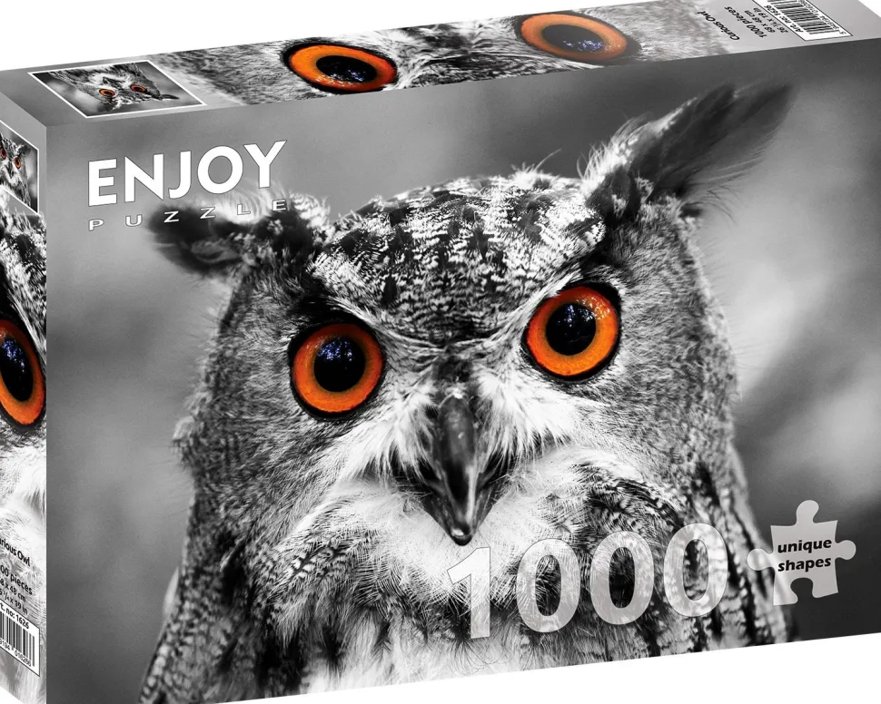 Enjoy - Legpuzzel - Nieuwsgierige Uil - 1000 stukjes