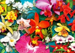 Enjoy - Legpuzzel - Orchideeen Jungle - 1000 stukjes