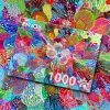 Enjoy - Legpuzzel - Revolutionaire Bloei - 1000 stukjes