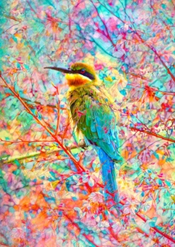 Enjoy - Legpuzzel - Vrolijke Vogel - 1000 stukjes