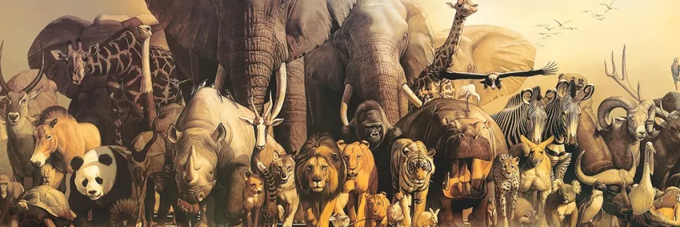 Eurographics - Legpuzzel - Ark Van Noach - 1000 stukjes
