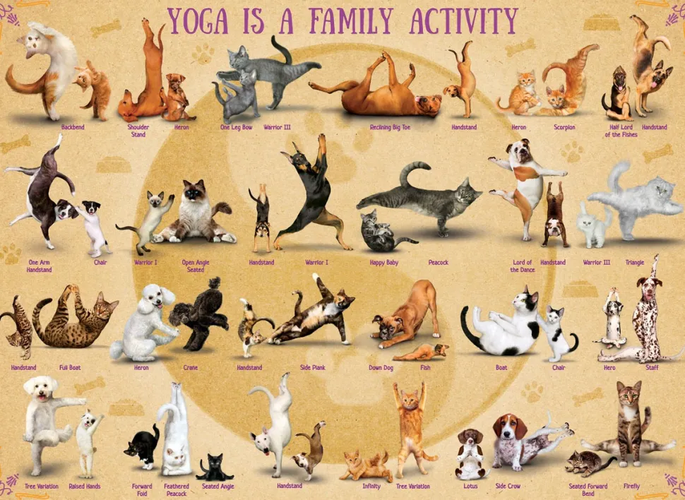 Eurographics - Legpuzzel - Yoga Cats - 500XL stukjes