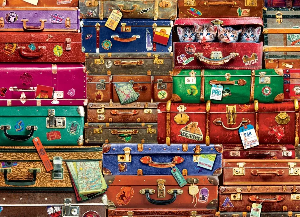 Eurographics - Legpuzzel - Reiskoffer - 1000 stukjes