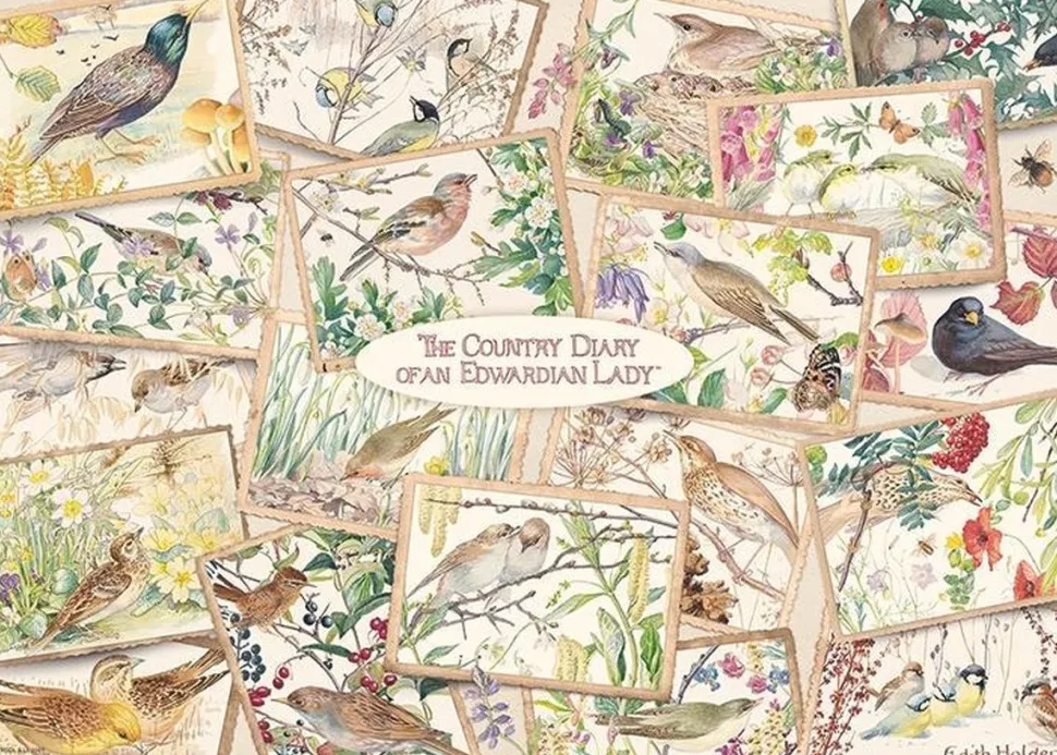 Falcon de Luxe - Legpuzzel - The Country Diary 4 Seasons - 1000 stukjes