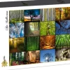 Grafika - Legpuzzel - Collage - Bomen - 2000 stukjes