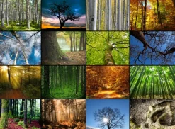 Grafika - Legpuzzel - Collage - Bomen - 2000 stukjes