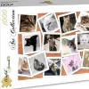 Grafika - Legpuzzel - Collage Katten - 1000 stukjes