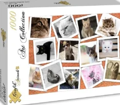 Grafika - Legpuzzel - Collage Katten - 1000 stukjes