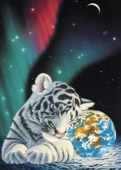 Grafika - Legpuzzel - Earth Light - 1000 stukjes