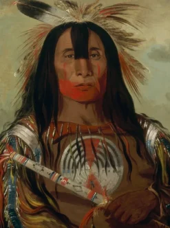 Grafika - Legpuzzel - Indianenchief - 2000 stukjes