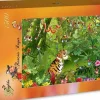 Grafika - Legpuzzel - Jungle Tijger - 1500 stukjes