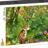 Grafika - Legpuzzel - Jungle - Tijger - 2000 stukjes