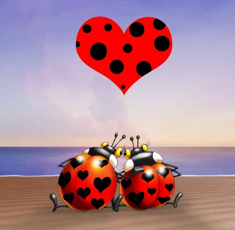 Grafika - Legpuzzel - Love - 1000 stukjes