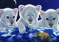 Grafika - Legpuzzel - Secret, Mystery and Hope - 2000 stukjes