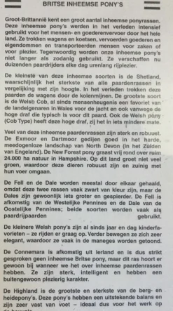 James Hamilton - Legpuzzel - British Native Ponies - 1000 stukjes