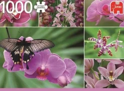 Jumbo - Legpuzzel - Hollandse Orchideeen - 1000 stukjes