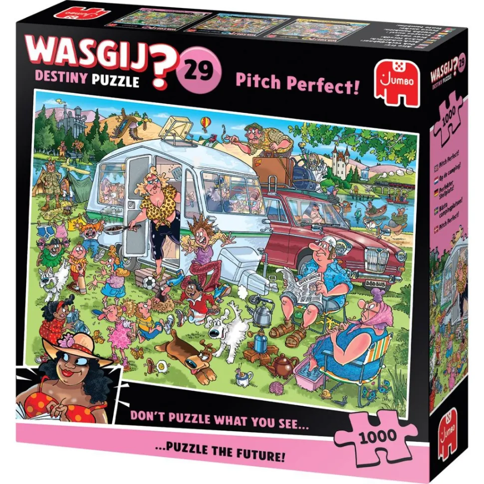 Jumbo - Legpuzzel - Wasgij Destiny 29 - Op De Camping - 1000 stukjes