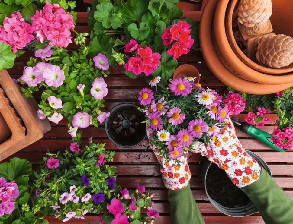 Ravensburger - Legpuzzel - Liefde voor de Tuin - 500XL stukjes