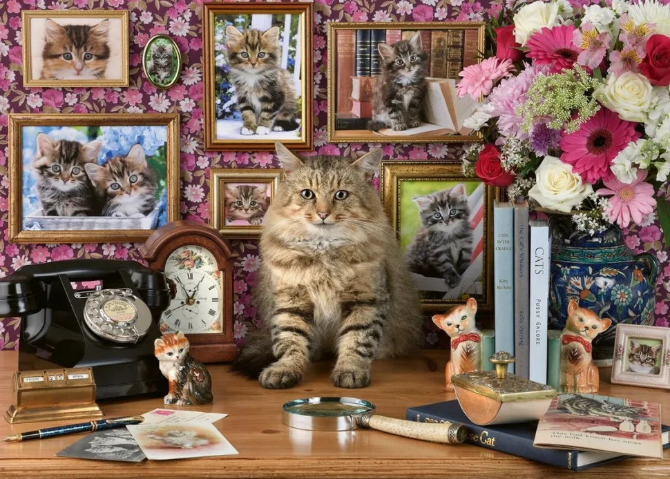 Ravensburger - Legpuzzel - Mijn Katjes - 1000 stukjes