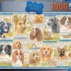 Ravensburger - Legpuzzel - Trouwe Honden - 1000 stukjes